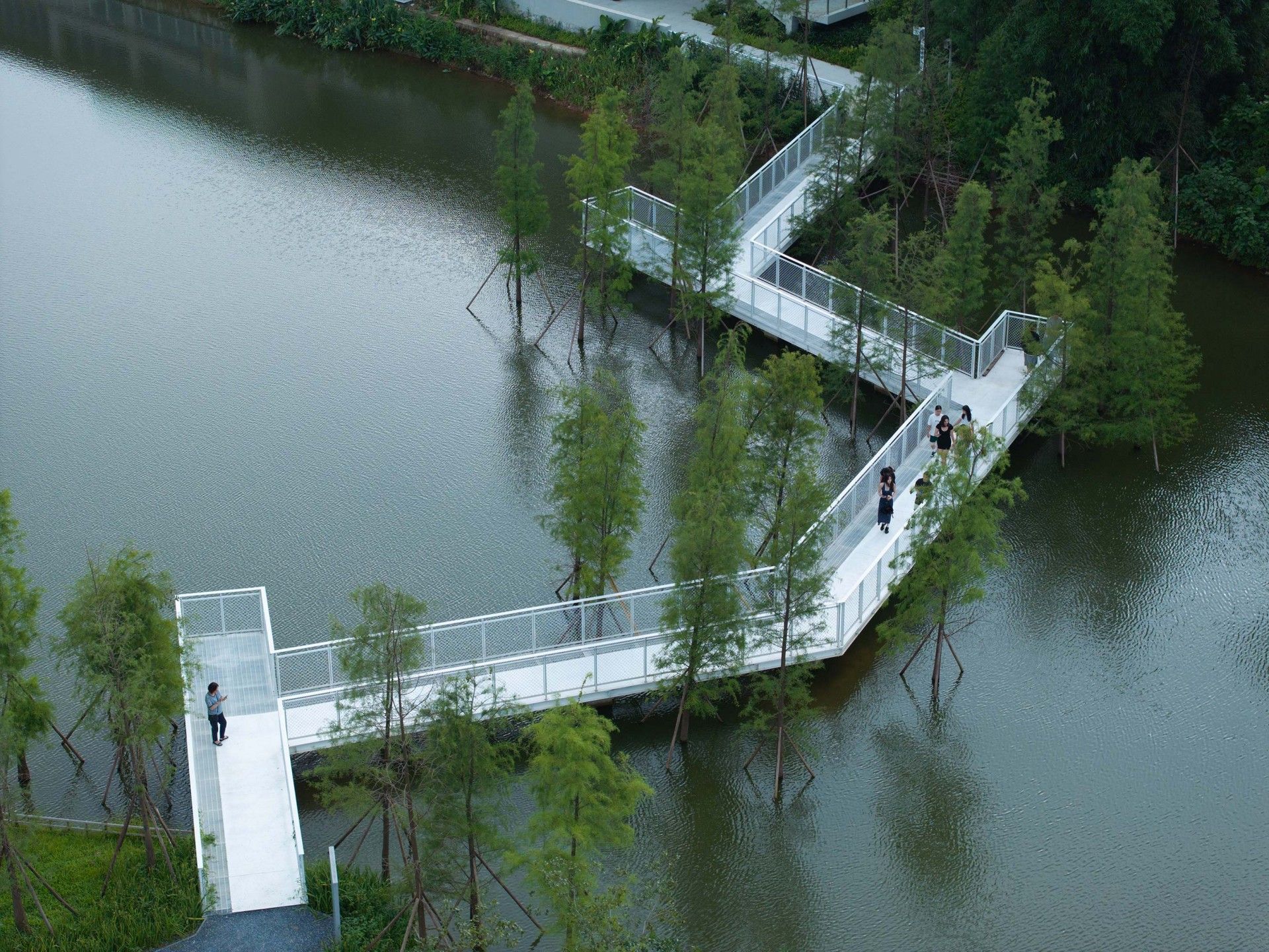 15.落羽折桥.jpg