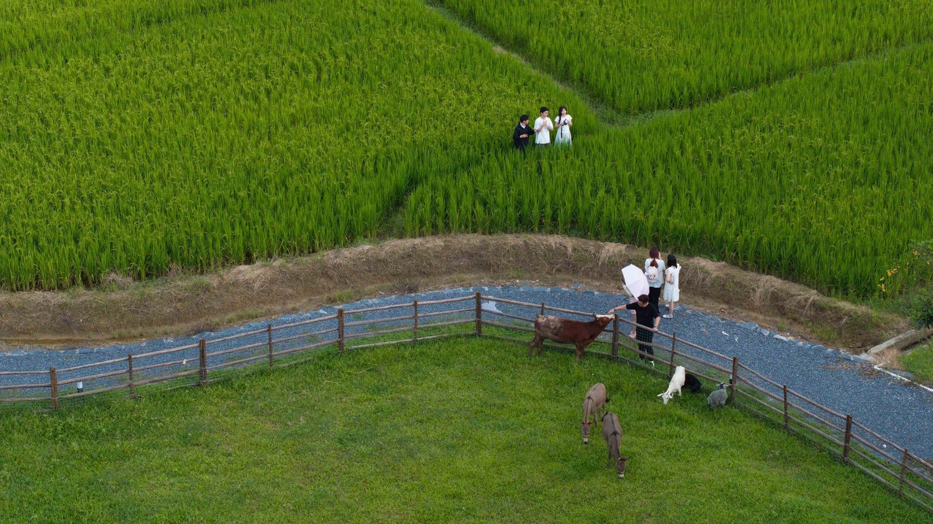 24.农耕研学区.jpg