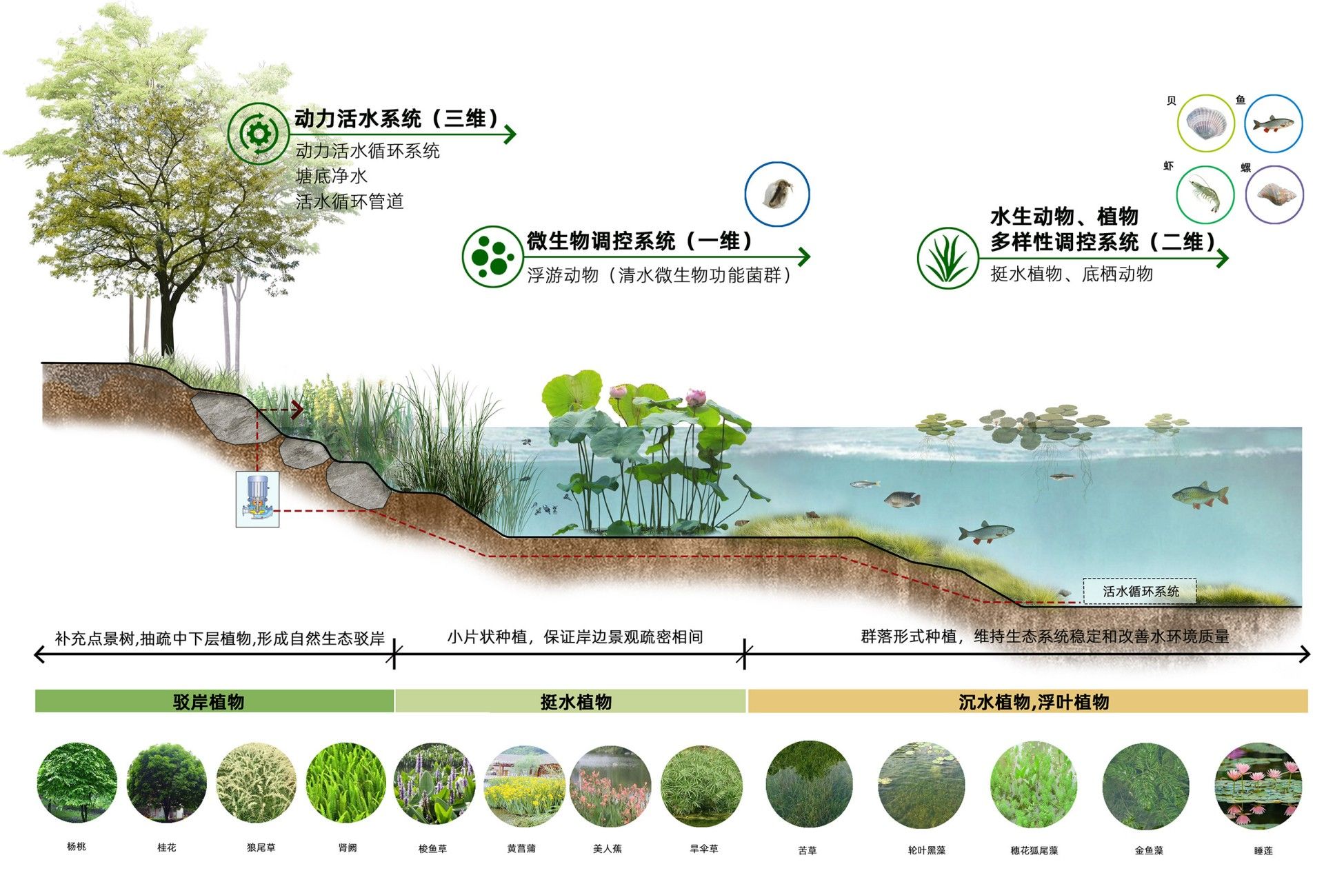 14.水生态治理技术.jpg