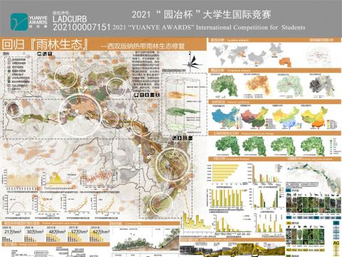 回归『雨林生态』—西双版纳热带雨林生态修复