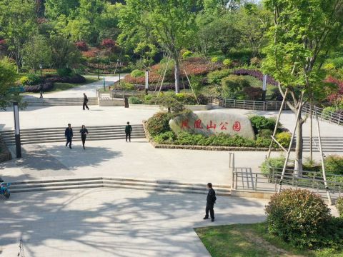 凤凰山休闲公园整治工程