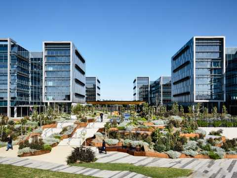 Peter Ryan Architects | 加勒比商业公园二期景观设计