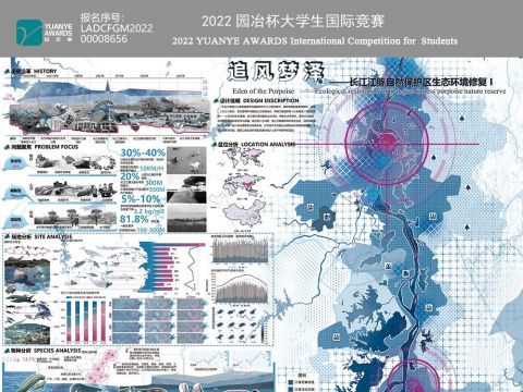 追风梦泽——长江江豚自然保护区生态环境修复