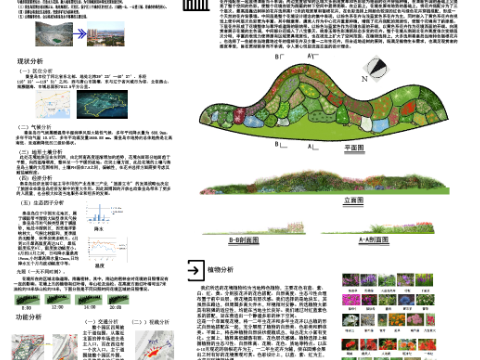 地块5 林下花间