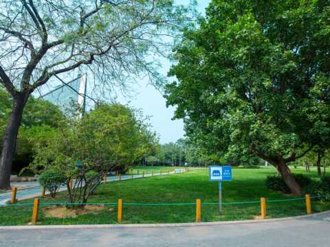 济南市泉城公园防灾避险规划设计