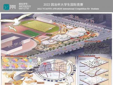 “∞”不定向生长