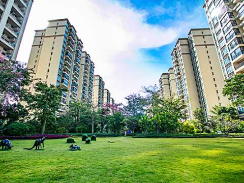 海云天项目补货区及后开区园林景观工程