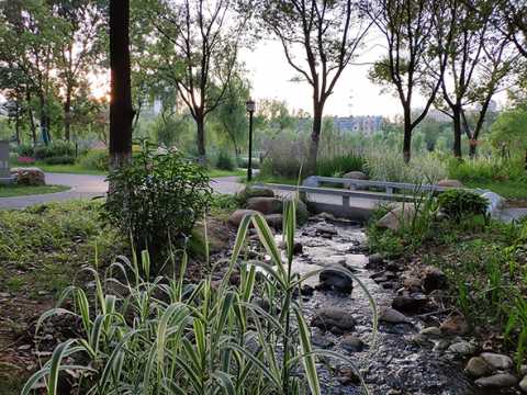 高密度老城区的公园振兴 ——池州市百荷公园北园综合改造设计