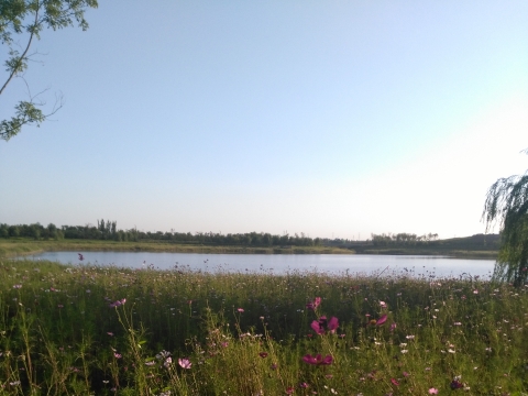 文安鲁能生态区四标段