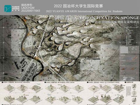 固碳海绵——碳中和视角下若尔盖高原泥炭地修复策略研究