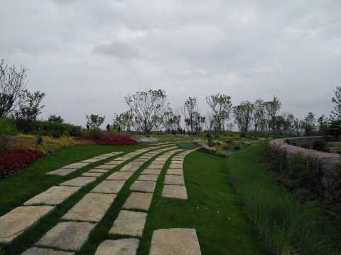 南京牛首山草坪广场景观设计