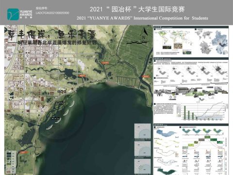 草丰偎岸，鱼乐于藻——响应巢湖西北岸蓝藻爆发的修复计划