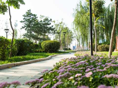 丁香大道景观改造工程设计