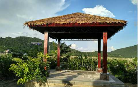 育才生态区雅林村委会美丽乡村综合改造项目设计施工（EPC）总承包