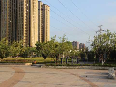 凤岗河东路滨河绿化工程