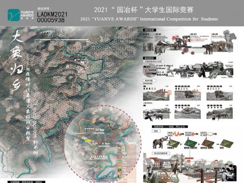 大象归乡——后疫情时代泰国大象旅游业转型