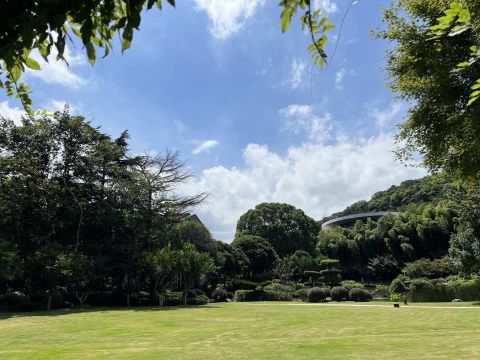 2022年管培中心绿化景观改造