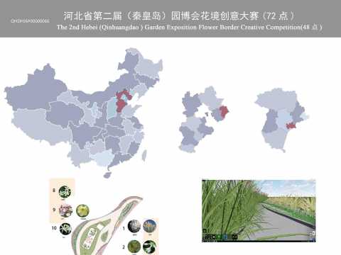 爱丽丝梦游花镜