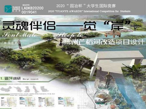 灵魂伴侣——觉“岸“