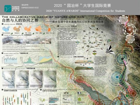 自然与人的协同之舞——南水北调中段水源地丹江口水库消落带治理