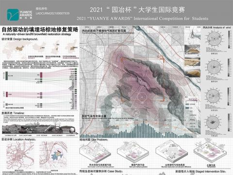 自然驱动的填埋场棕地修复策略