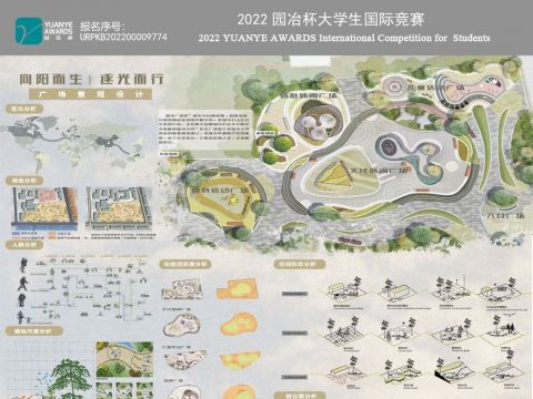 《向阳而生，逐光而行》