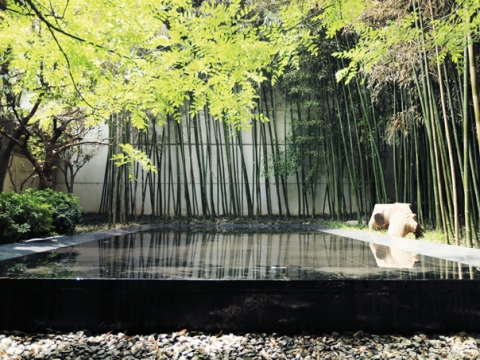 陕拾叁碧山堂景观设计