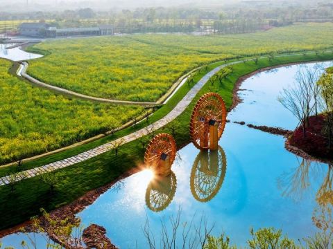 湖海塘公园复耕改造工程