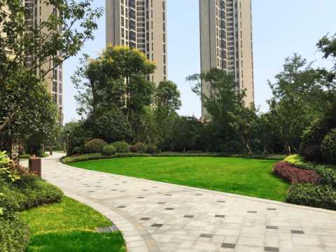 晟通·梅溪湖国际总部中心（一期）园林景观工程