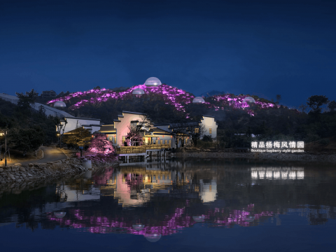 马涧精品杨梅风情园夜景照明工程