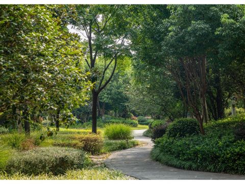 安徽国际商务职业学院校园景观提升