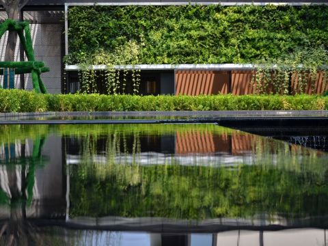 郑州鸿宝.银杏苑