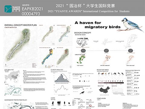 A haven for migratory birds