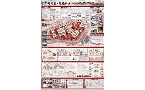 卫河旧巷·绿色新生