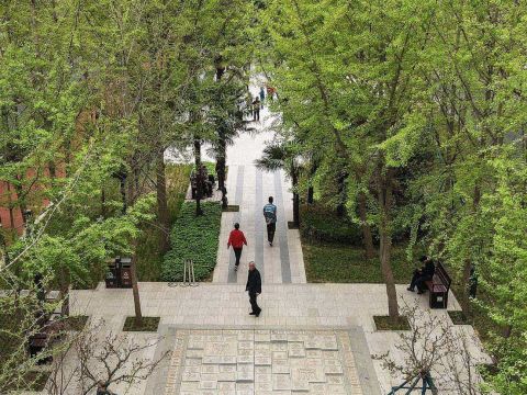 咸通路综合改造（中央绿化带改造）工程