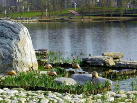 安庆市新河水系整治工程-新河绿化工程（标段一）