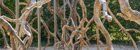 Vazio S/A’ | “火之景观”