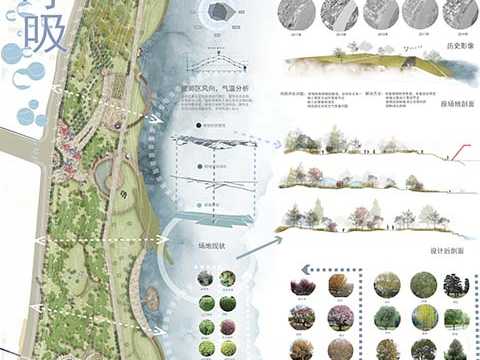 森呼吸-植物营造滨江氧吧和多样性驳岸设计