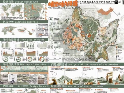 峭壁间的绿盾——以可持续为基石的防护林焕新行动
