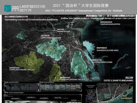黄海褪色计划——关于绿潮治理概念性设计