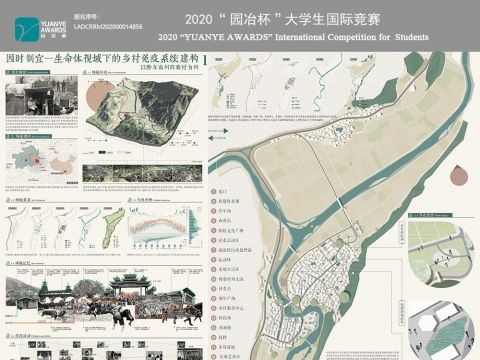 因时制宜——生命体视域下的乡村免疫系统建构