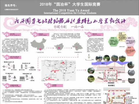 广西国有七坡林场那丹壮药特色小站景观设计