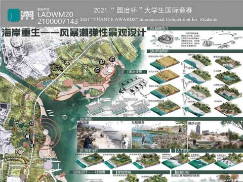 海岸重生——风暴潮弹性景观设计