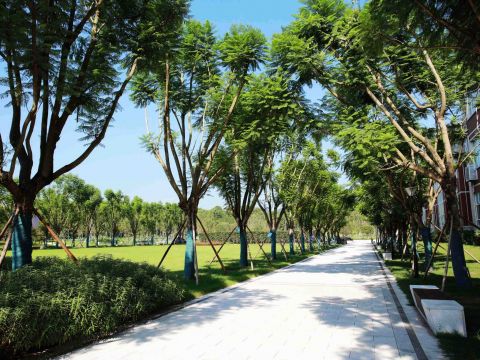 重庆医科大学缙云校区一期景观设计