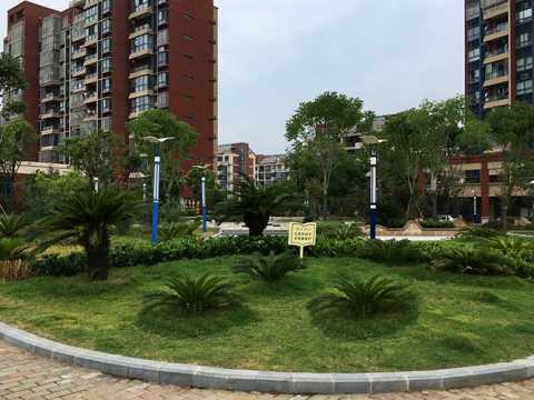 含山县太湖山南路西侧50m景观带绿化等施工图设计