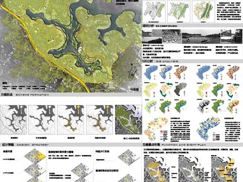 湿地重生，龙湖慢行——生态修复理论下的龙泉湖湿地探.....