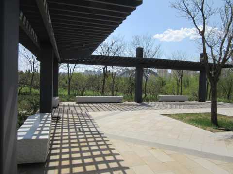 御河东岸景观绿化工程（二期）C段