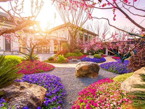 登封恒大嵩岳桃花源首期小镇项目园林工程设计