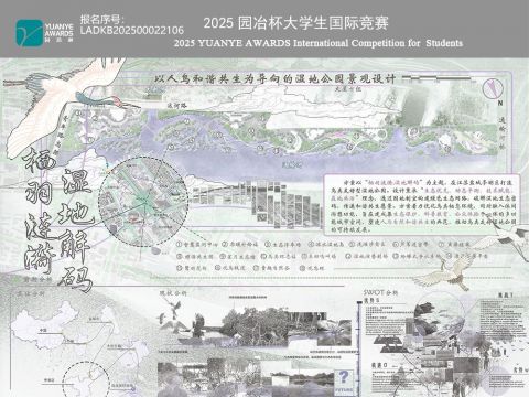 栖羽涟漪，湿地解码