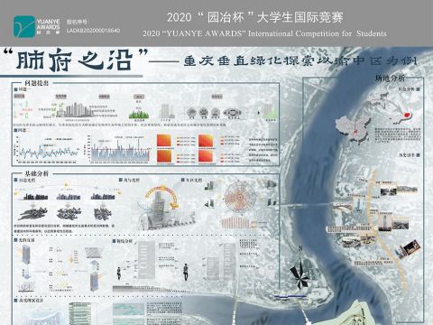 肺府之沿——重庆垂直绿化探索以渝中区为例